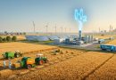 Beyond Electrolysis: Bringing Biomass into India’s Hydrogen Future